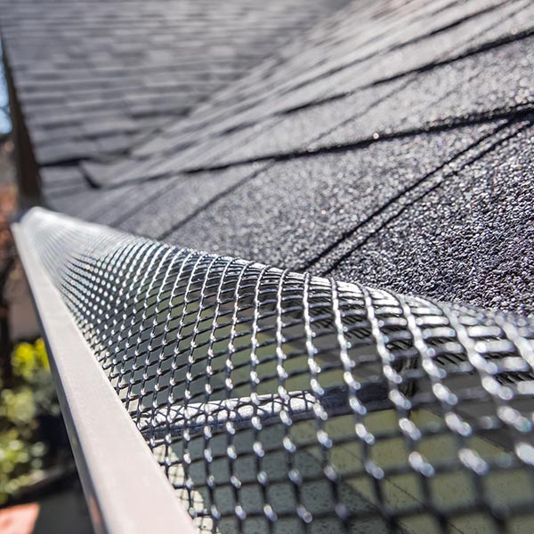 Hollis Gutter Guards and Protection Systems