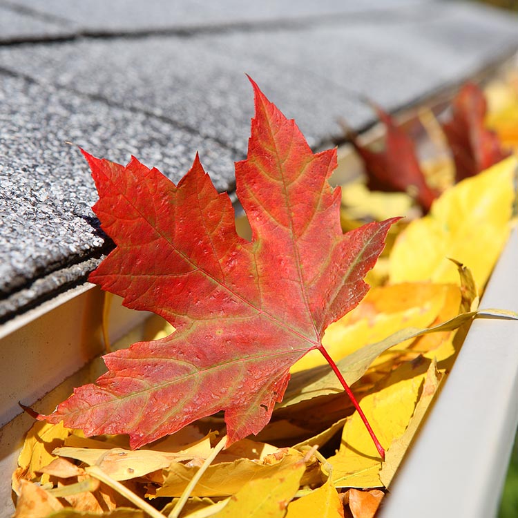 Kittery Gutter Installation FAQs