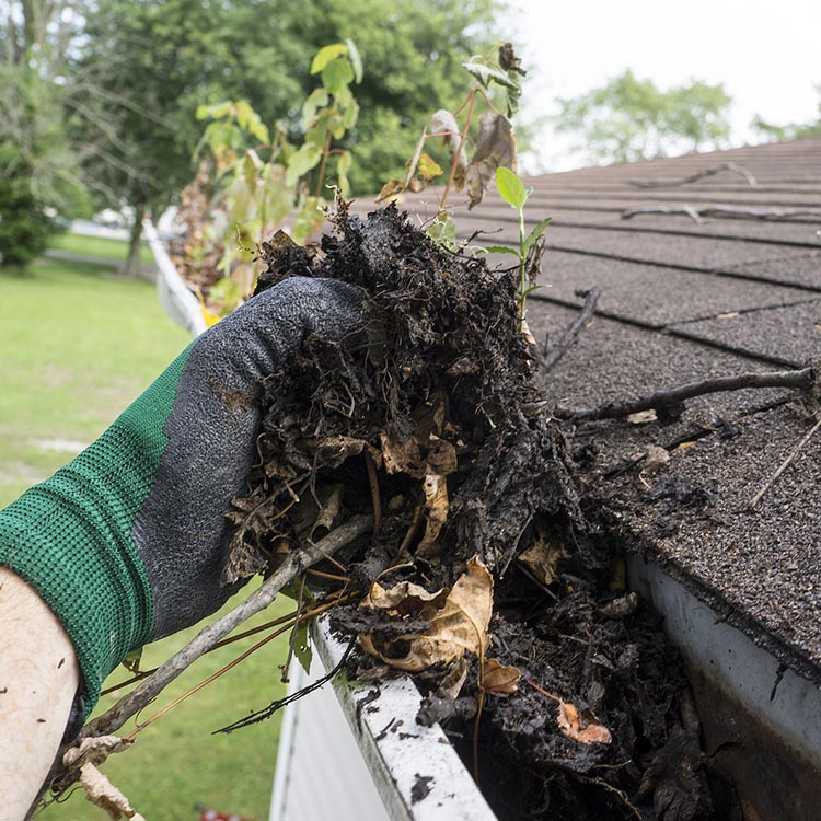 Gutter Installation Saco